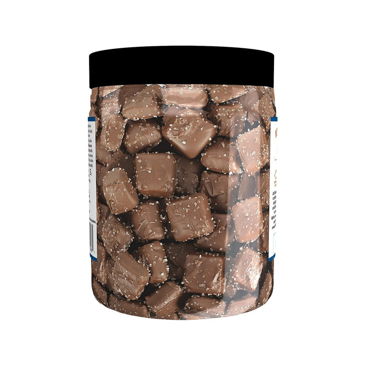 Sanders Milk Chocolate Sea Salt Caramels